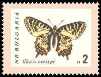 (1962-061) Марка Болгария "Пестрокрыльница" Перф лин 11   Бабочки II Θ